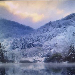 Meet your Posher, Roy